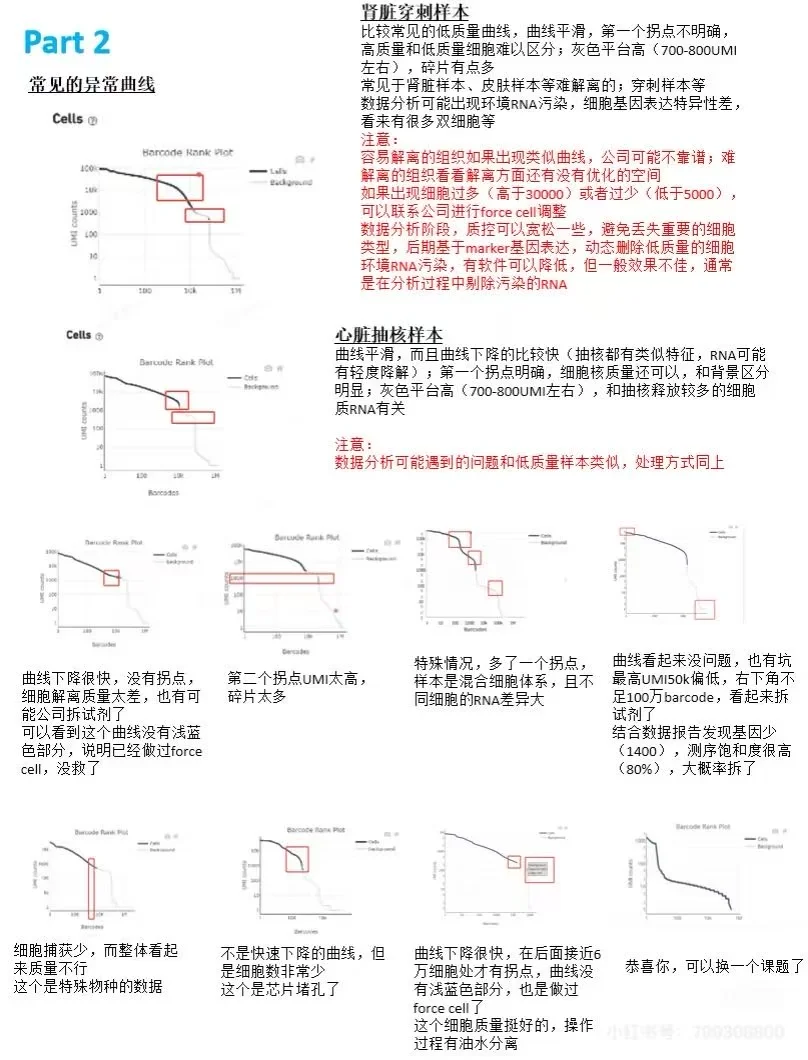 一文看懂单细胞cellranger数据质控报告解读