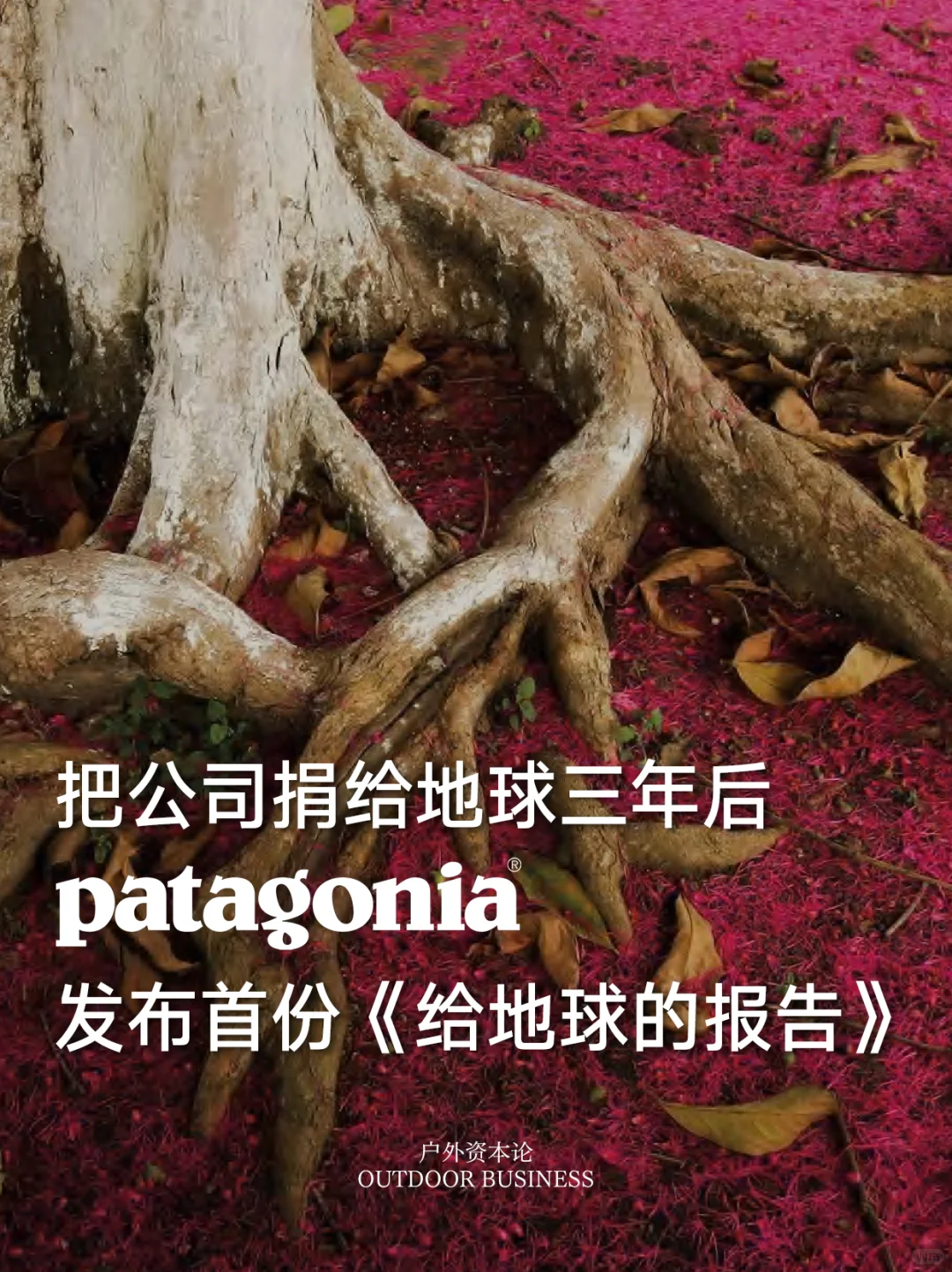 Patagonia发布首份《给地球的报告》