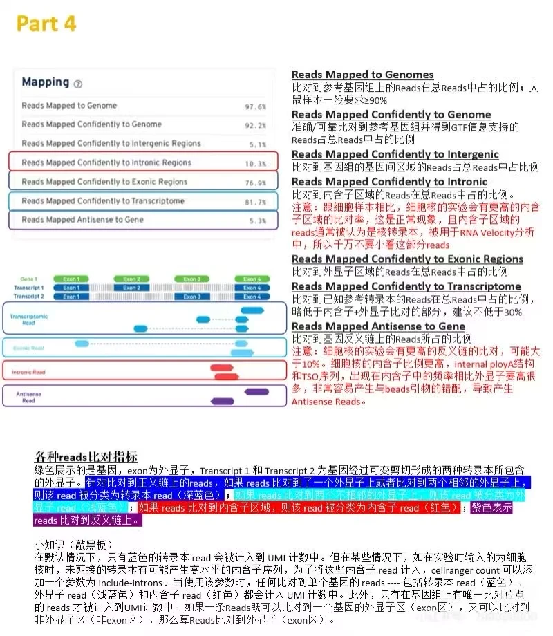 一文看懂单细胞cellranger数据质控报告解读