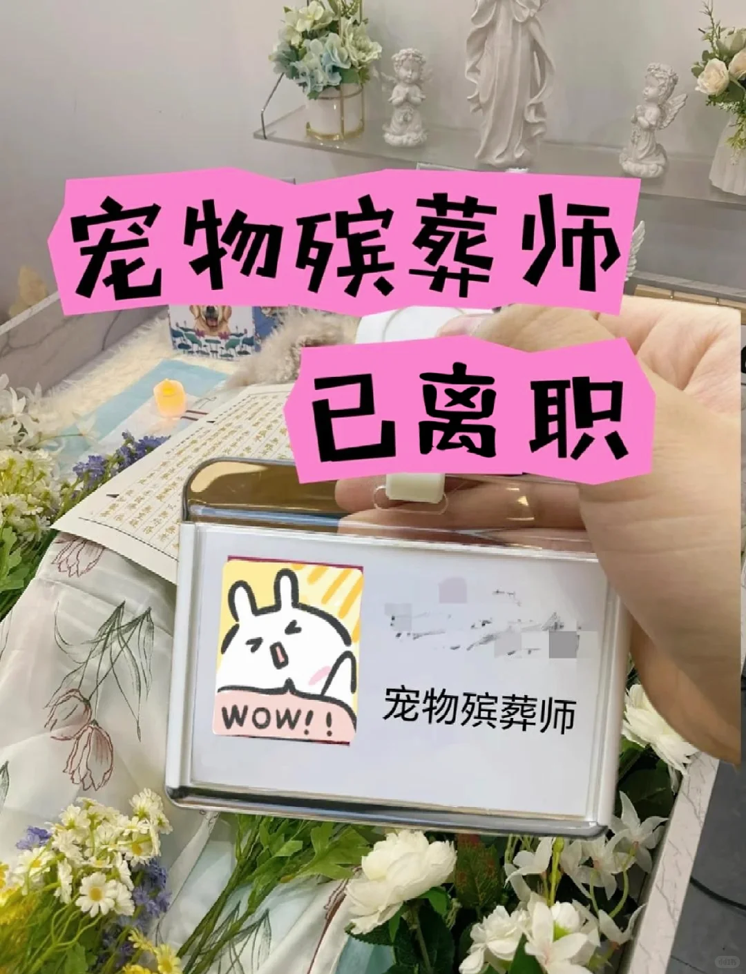 02年宠物殡葬师裸辞｜风口职业真的值得冲吗