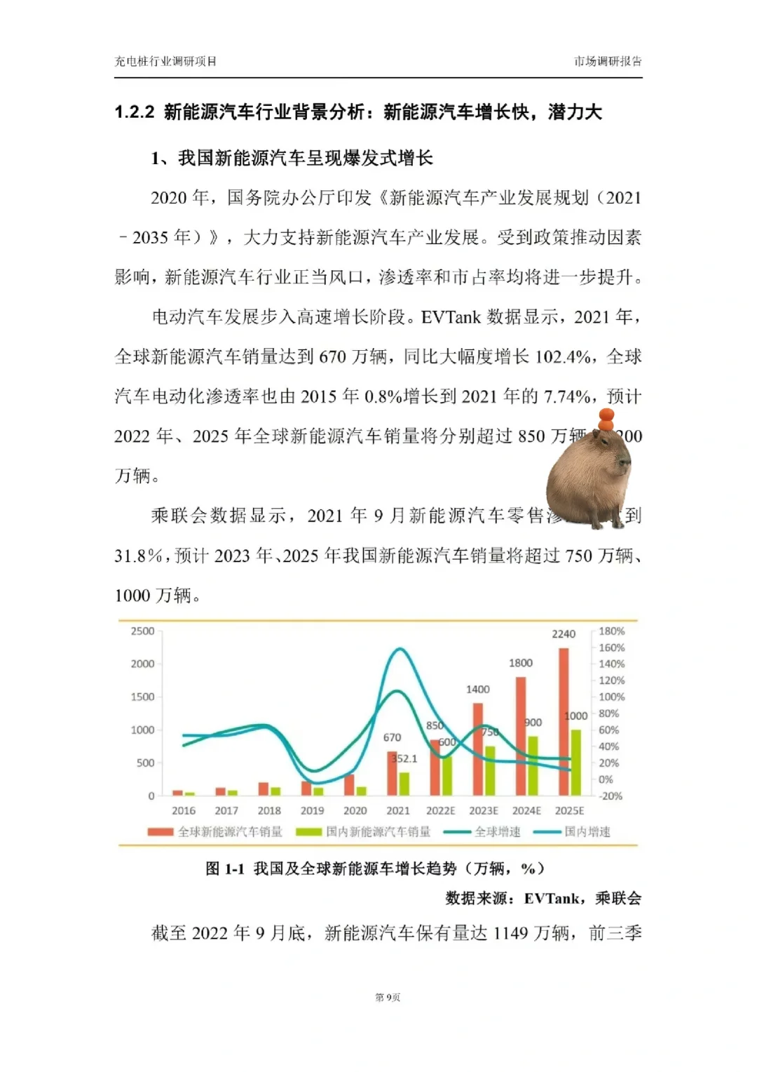 调研报告帮写✍🏻，代写各类调研