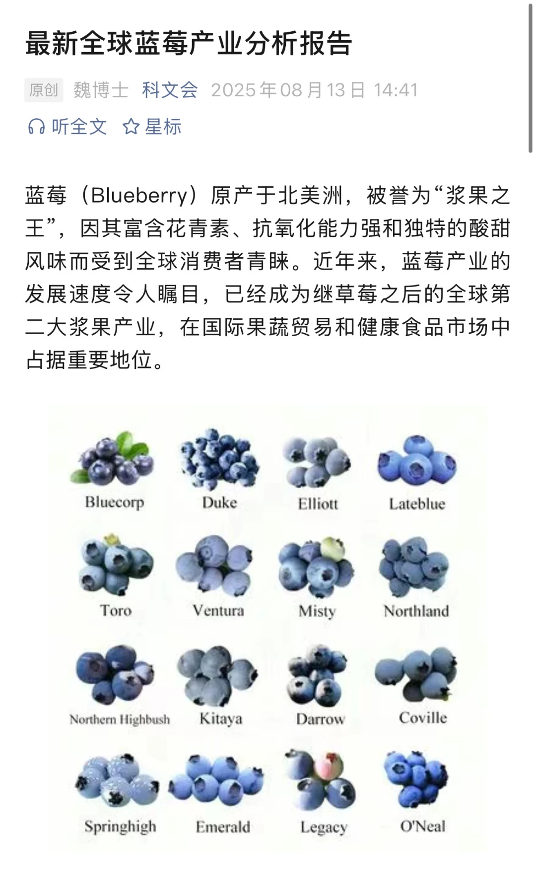 蓝莓产业最新报告