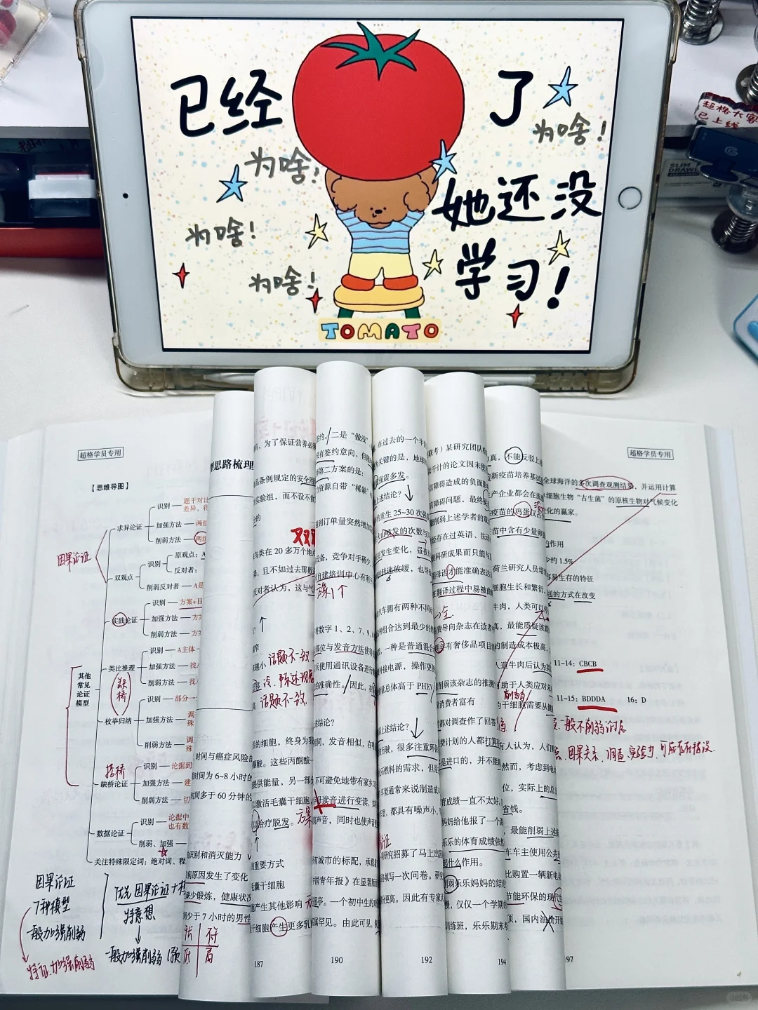 🔛26考公 | 报告！今日快乐是抽到摇摇乐给的