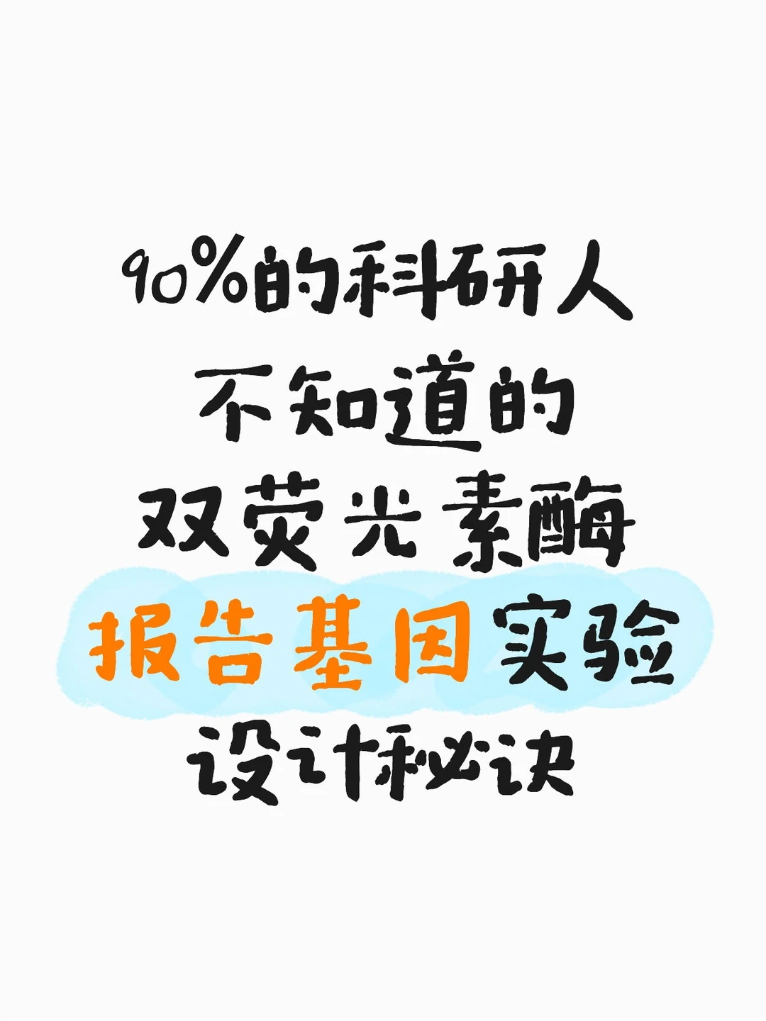 荧光素酶报告基因实验