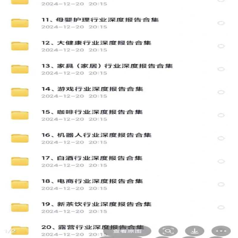 2024年行业报告大揭秘🔥研报分析宝典