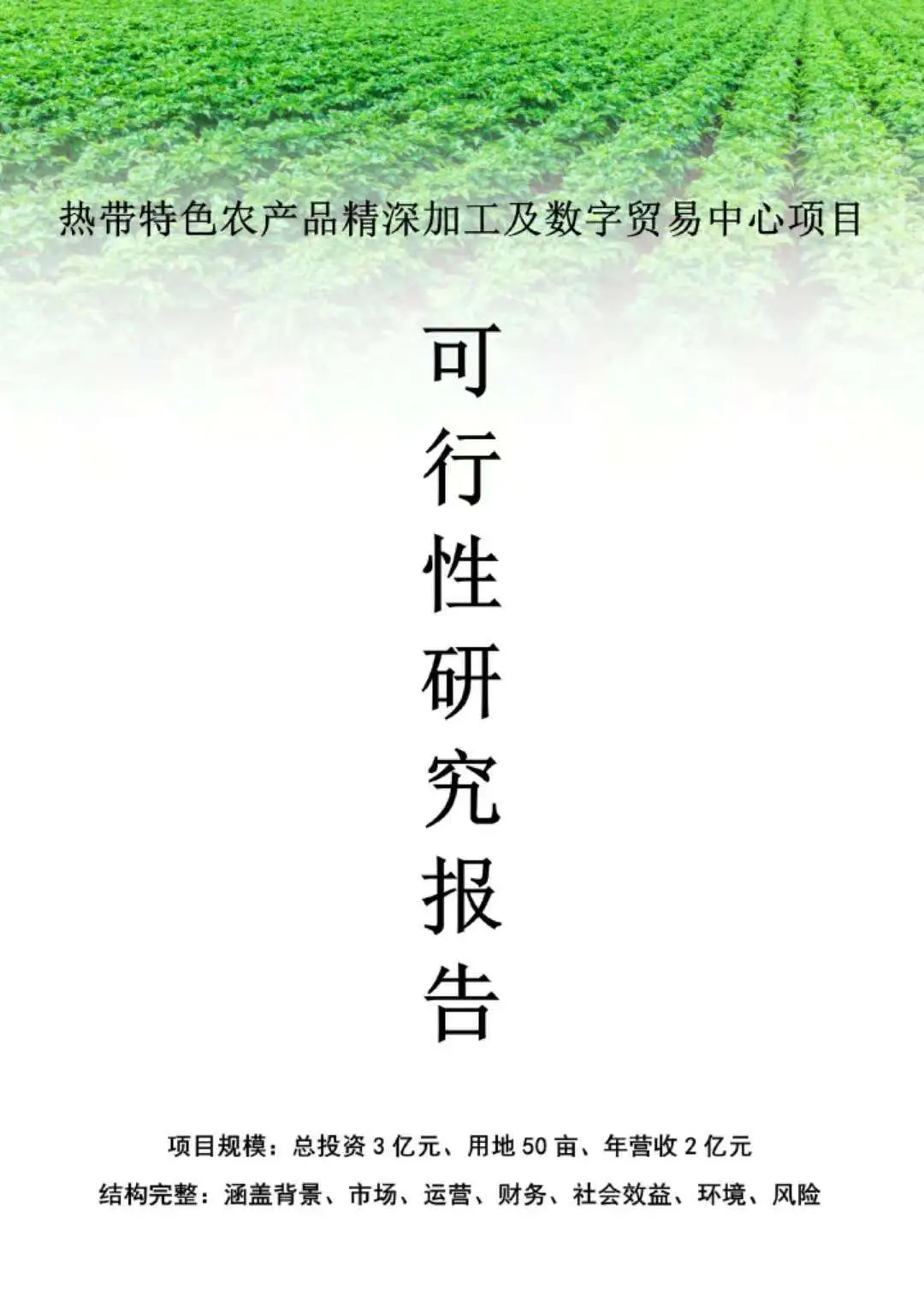 立项如此简单|项目可行性研究报告案例分享