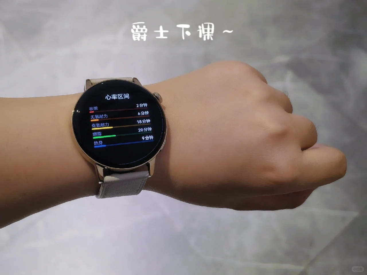 行研周记 | 工作日常Plog