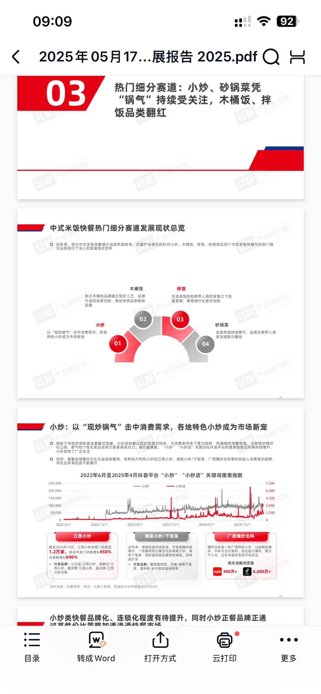 中式米饭快餐品类发展报告2025