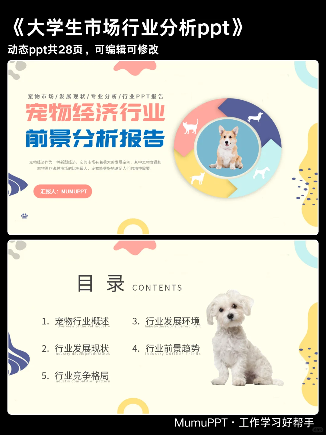 宠物经济行业前景分析报告ppt模板共28页