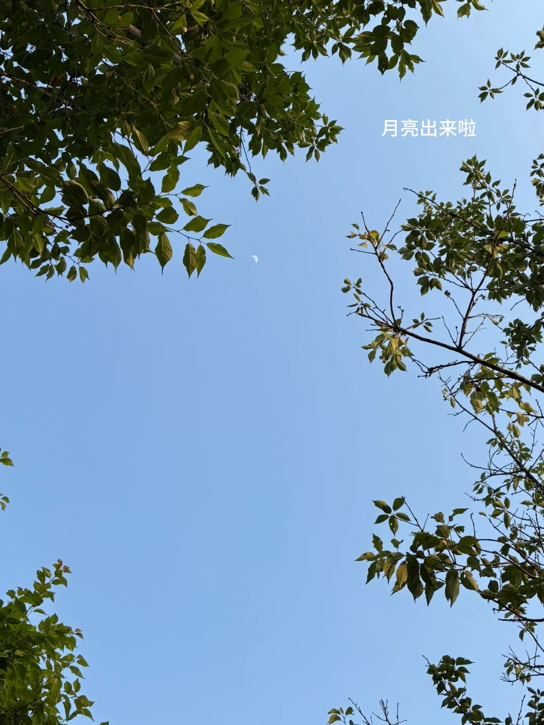 券商人plog|所以三年真的是金融人的坎🛤️