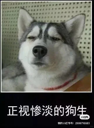 行业研究实习小结（2）