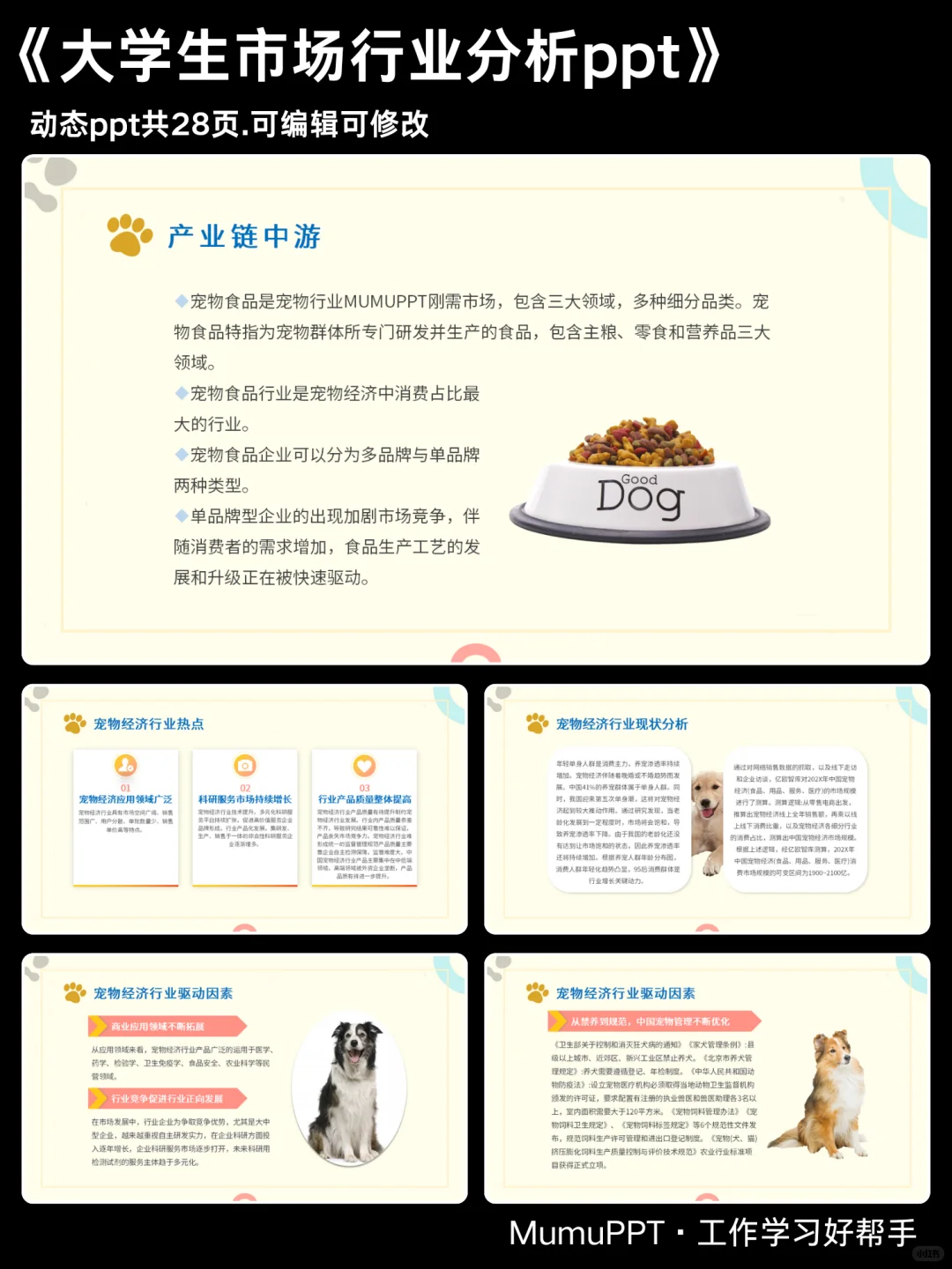 宠物经济行业前景分析报告ppt模板共28页
