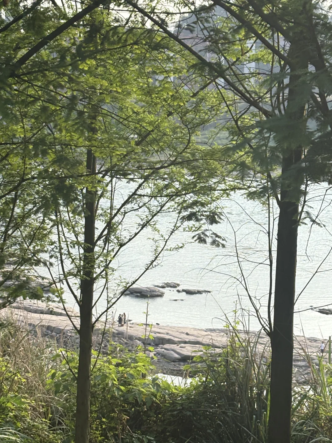 券商人plog｜所以三年真的是金融人的坎🛤️