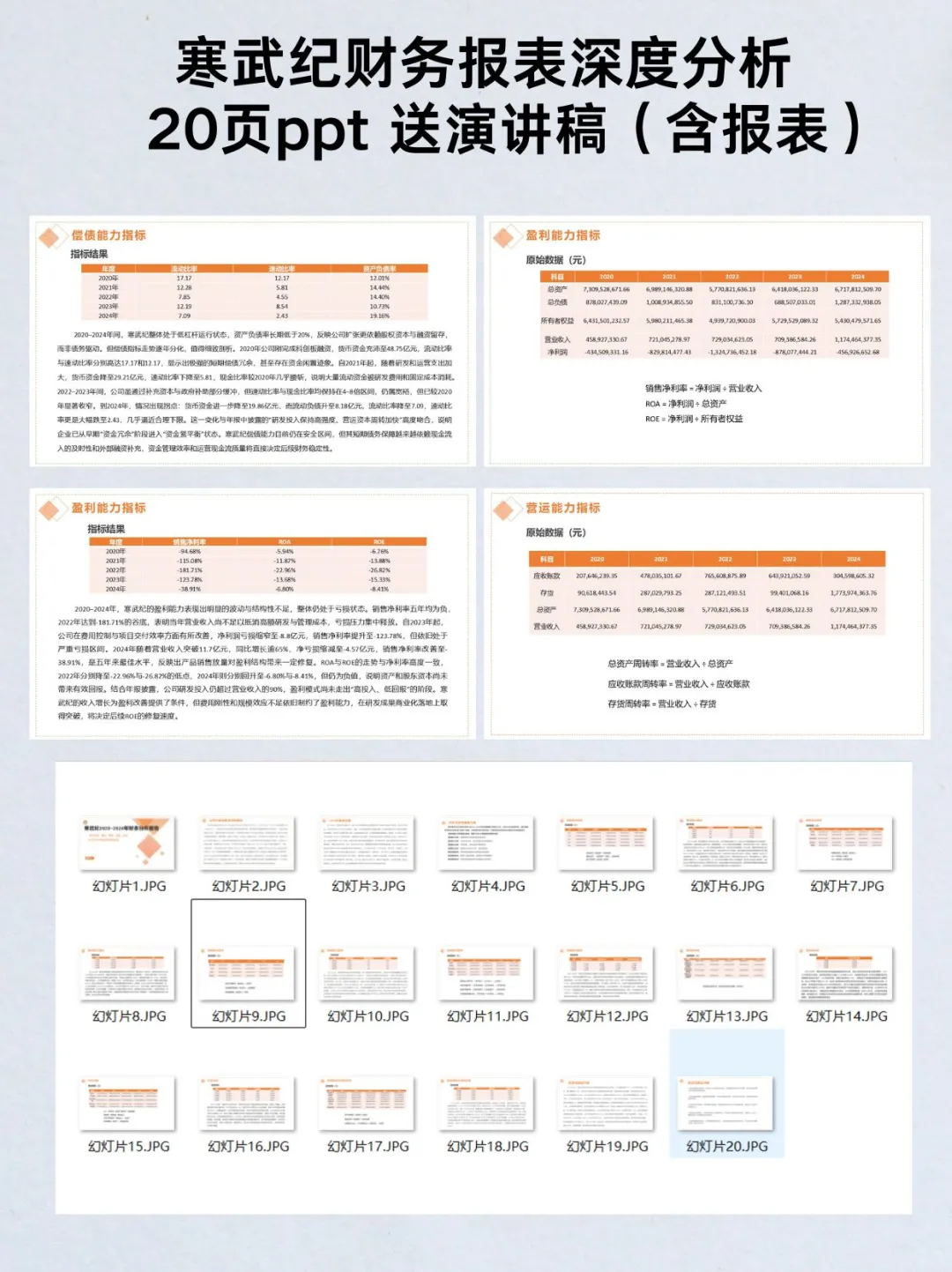 寒武纪2020-2024年财报分析ppt送演讲稿报表