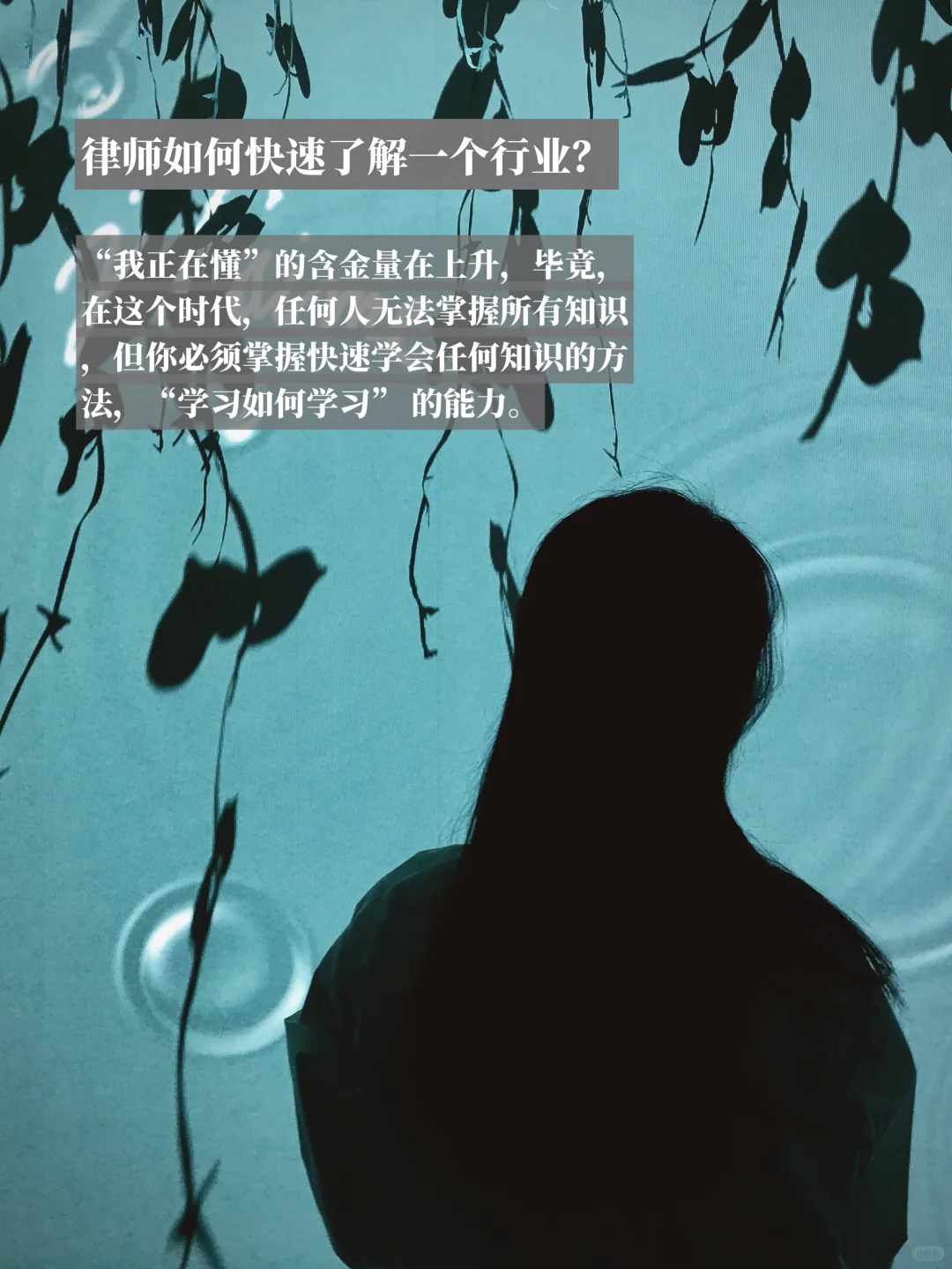 律师如何快速了解一个行业|附文件