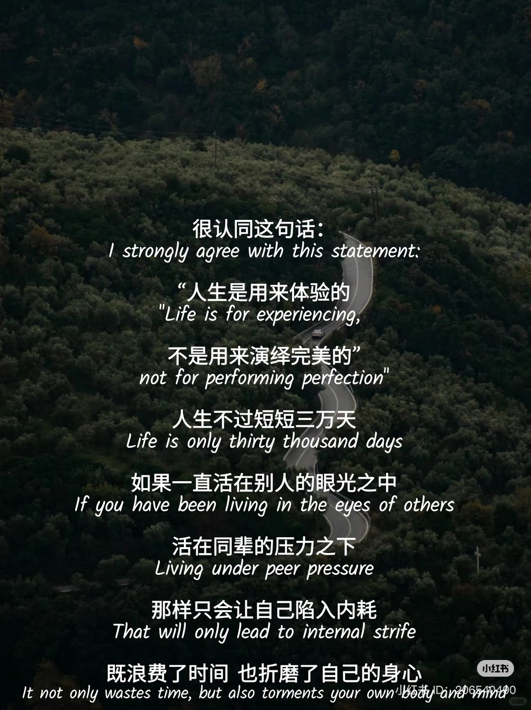 一个赞就从头部券商裸辞！