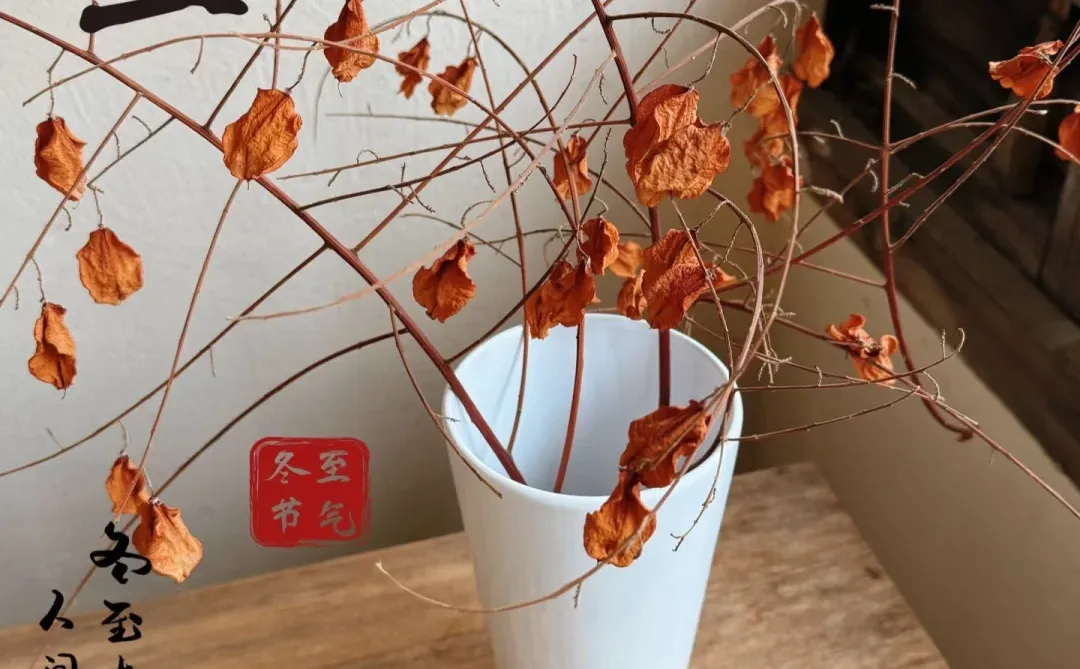 冬至快乐🥟