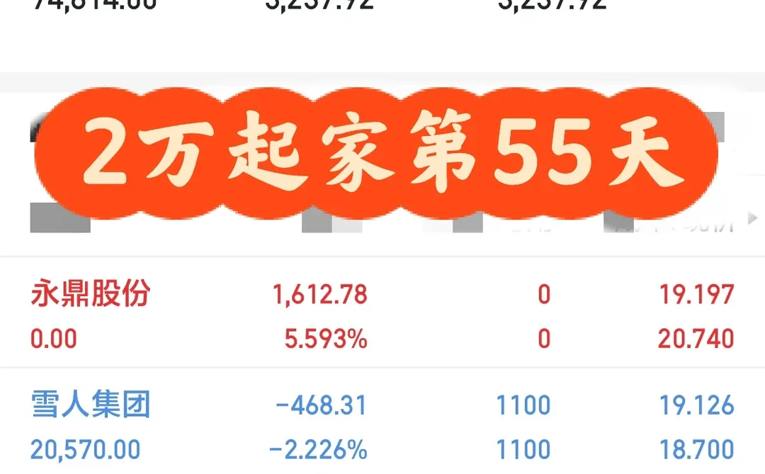 金融系应届生携2万闯股市记录（第55天）
