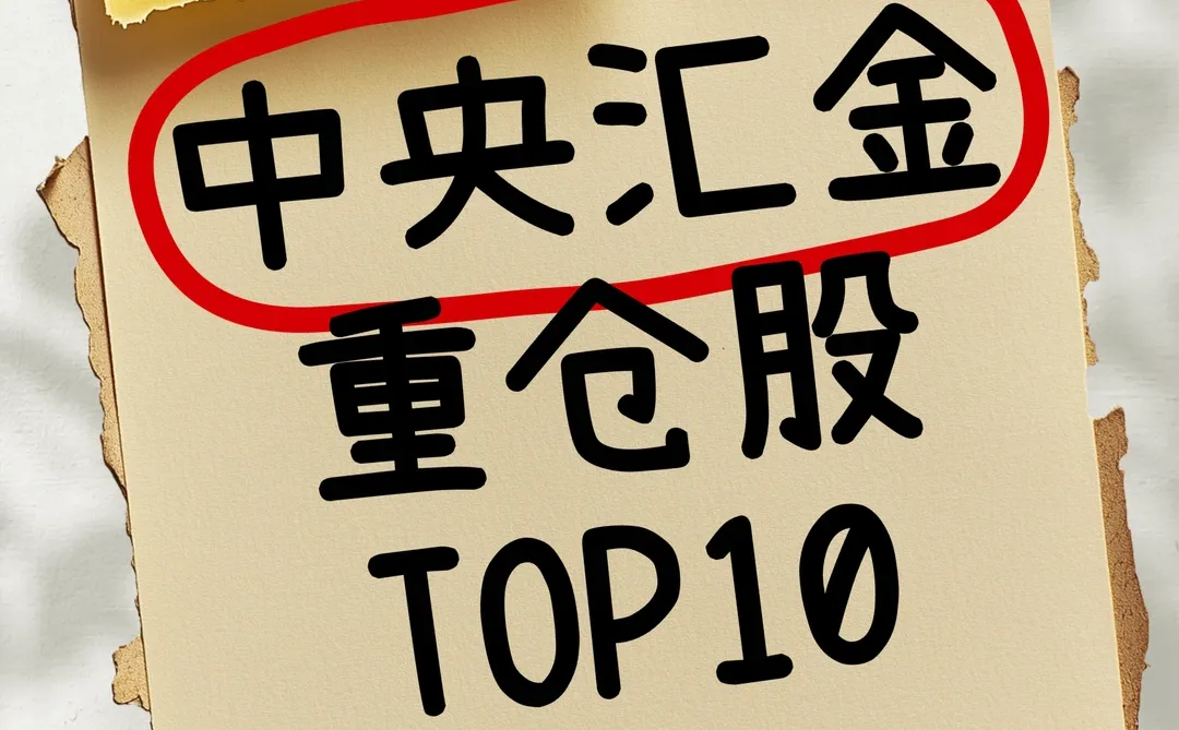 大资金重仓揭秘！看看聪明钱在买什么🔍