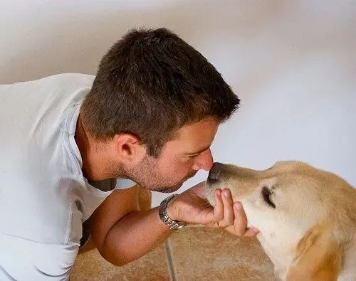 狗,成了45岁男人最后的情感券商