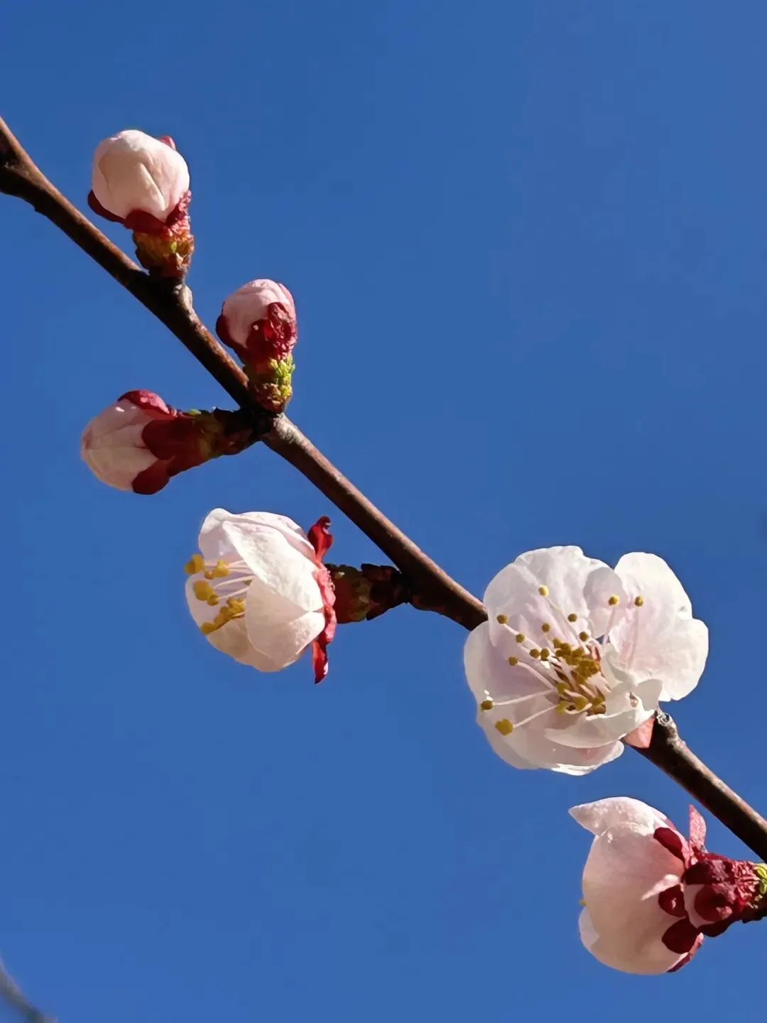 的命理职咨询手记|拿到券商offer,不要困在专业的局限里,而是要做命中该有的赛道