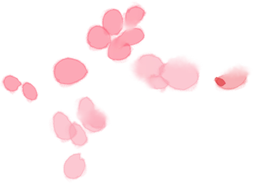 券商“她力量”:从高管到员工,半边天的崛起与坚守