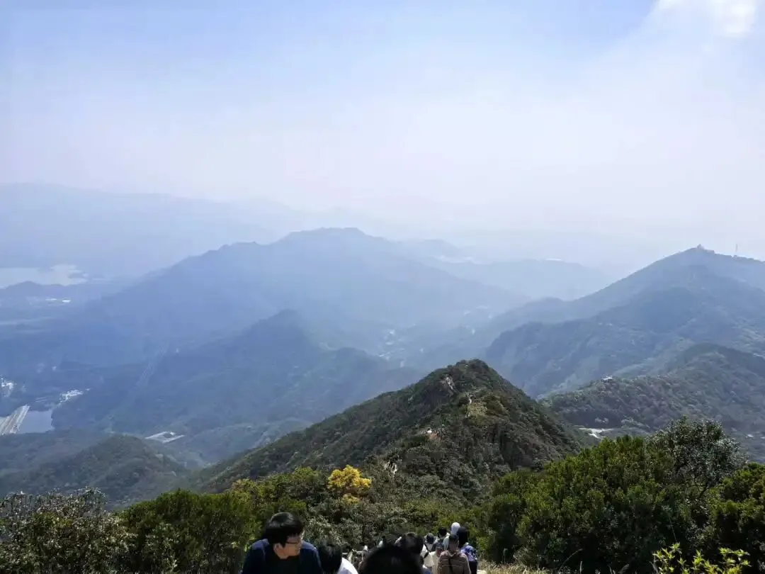 券商首席弃高薪学佛:一场从身心觉醒到认知突围的选择