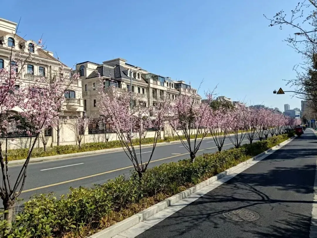 券商注意,新法典来了:《中华人民共和国生态环境法典》对券商参与碳交易市场的影响