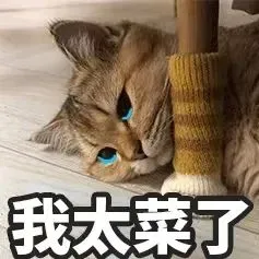 拿下券商投行offer的行研报告长啥样?!