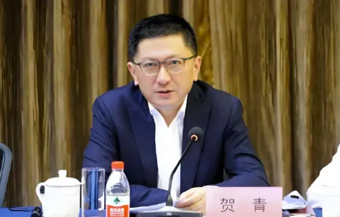 贺青,担任上海市副市长,券商高管出身