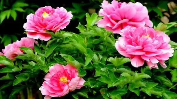 从券商最新策略来看4月股市如何演绎!