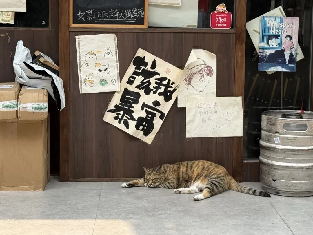 静待周末大消息!券商终于爆发,今天差点就加仓干了!