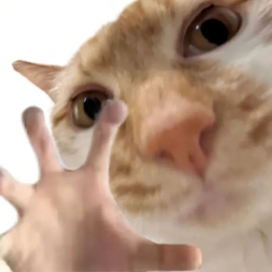 暑假实习合辑 | 头部券商排行——投递前你需要先了解这些!