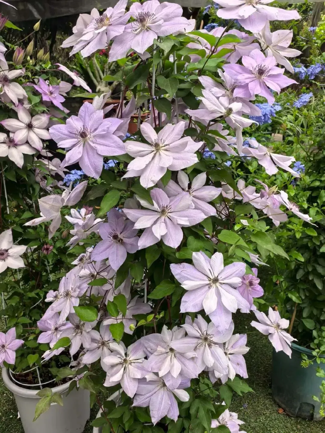 上市券商一季度成绩单陆续出炉 头部机构配置价值更受青睐