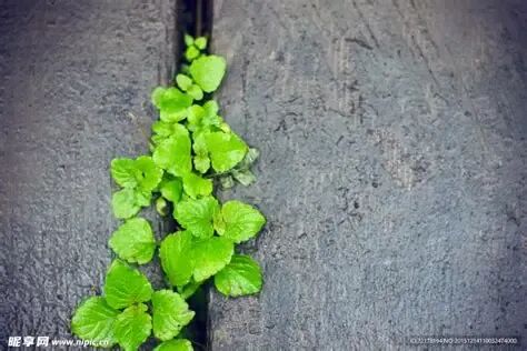 券商板块深度思考:在“三杀”困局与“大国重器”的夹缝中