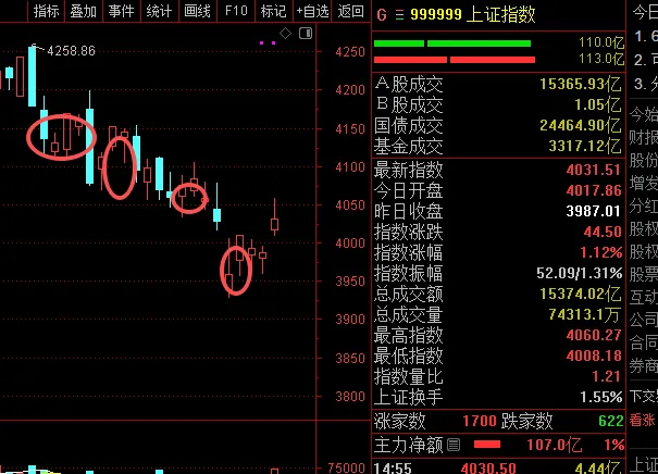 继续看多!券商在路上
